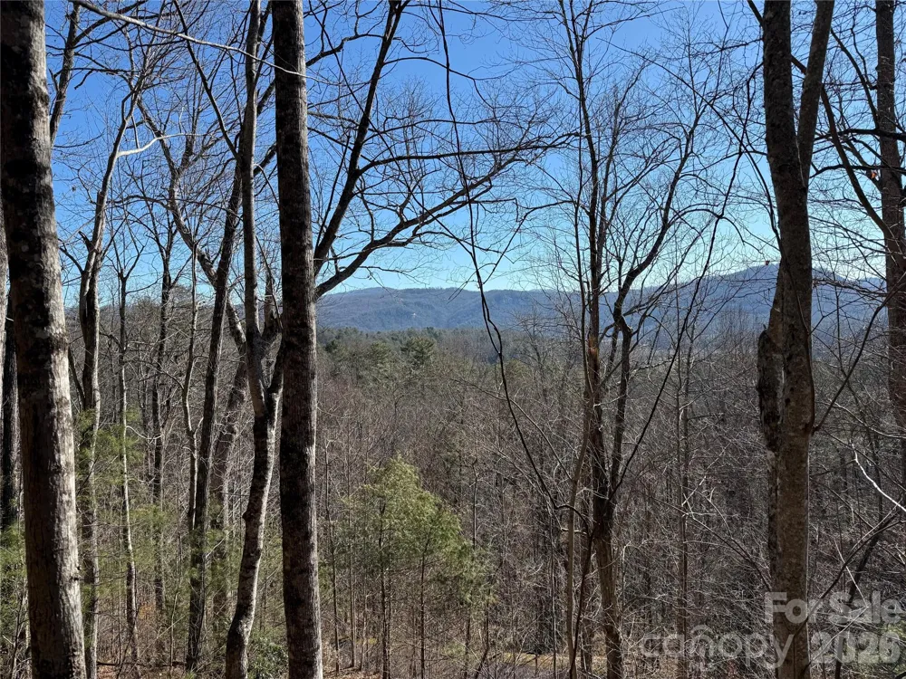33 High Point Trail Brevard, NC 28712