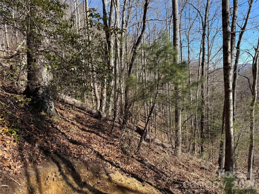 33 High Point Trail Brevard, NC 28712
