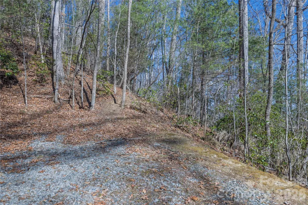 33 High Point Trail Brevard, NC 28712