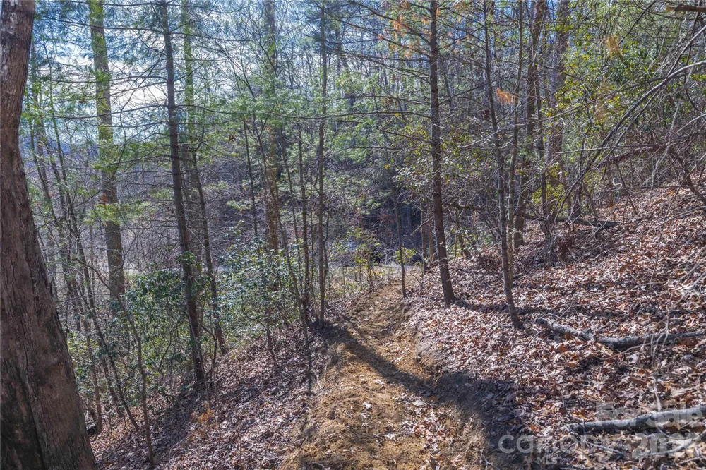 33 High Point Trail Brevard, NC 28712