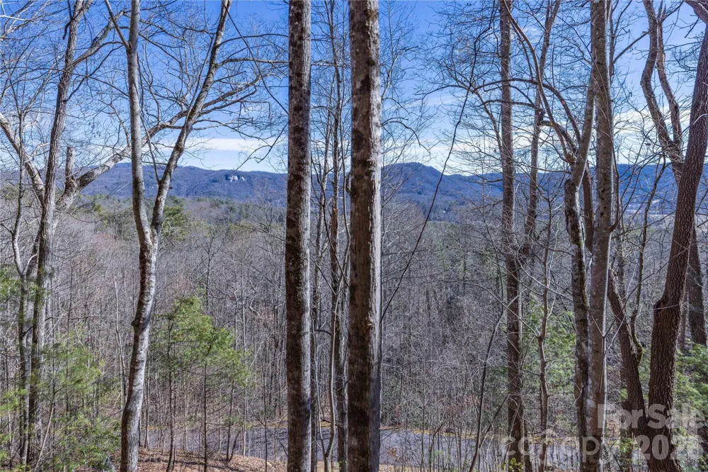 33 High Point Trail Brevard, NC 28712