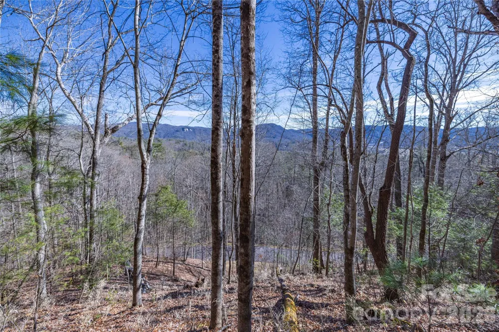 33 High Point Trail Brevard, NC 28712