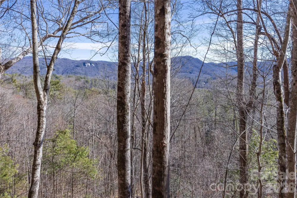 33 High Point Trail Brevard, NC 28712