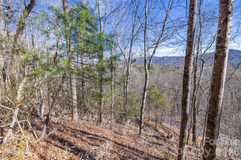 33 High Point Trail Brevard, NC 28712