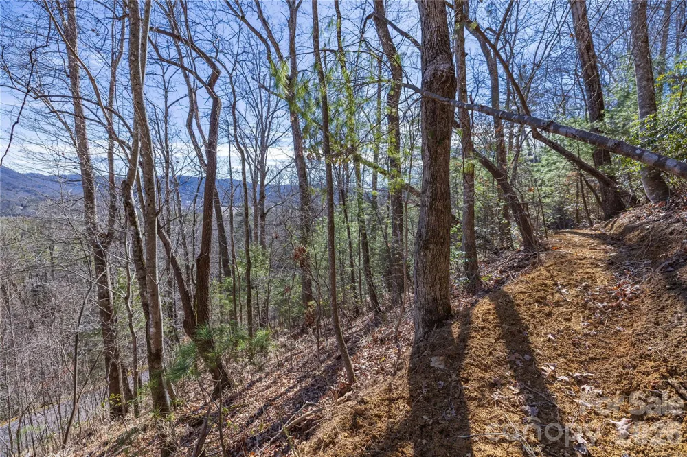 33 High Point Trail Brevard, NC 28712