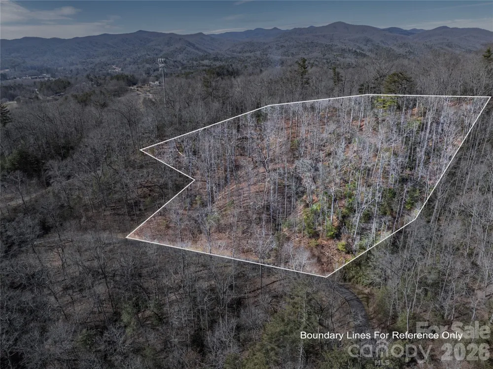 33 High Point Trail Brevard, NC 28712