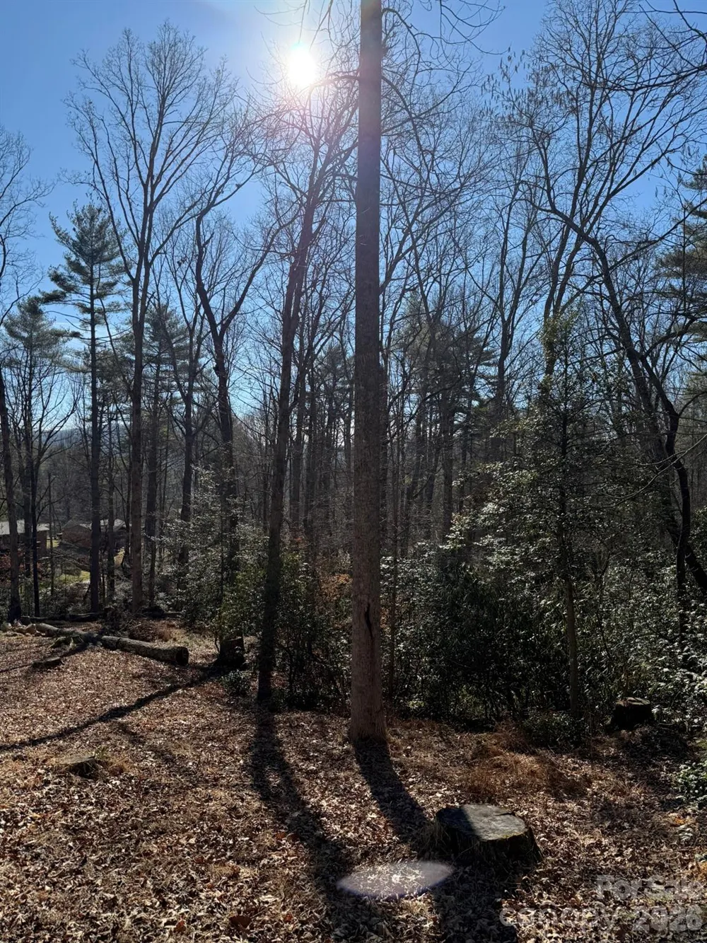 9999 Rockbrook Overlook #13 Brevard, NC 28712