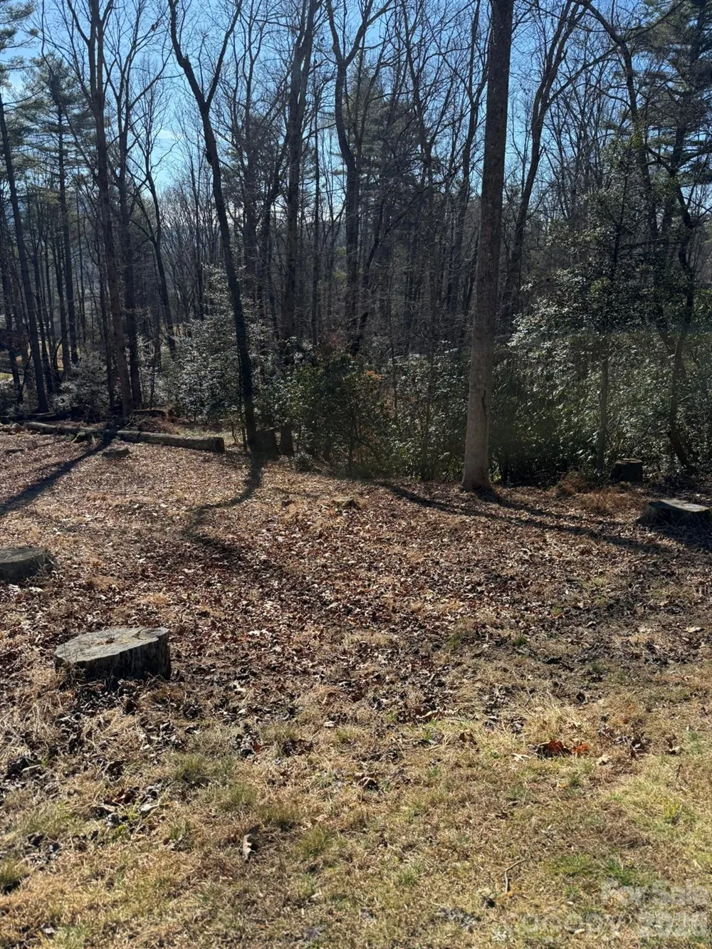 9999 Rockbrook Overlook #13 Brevard, NC 28712