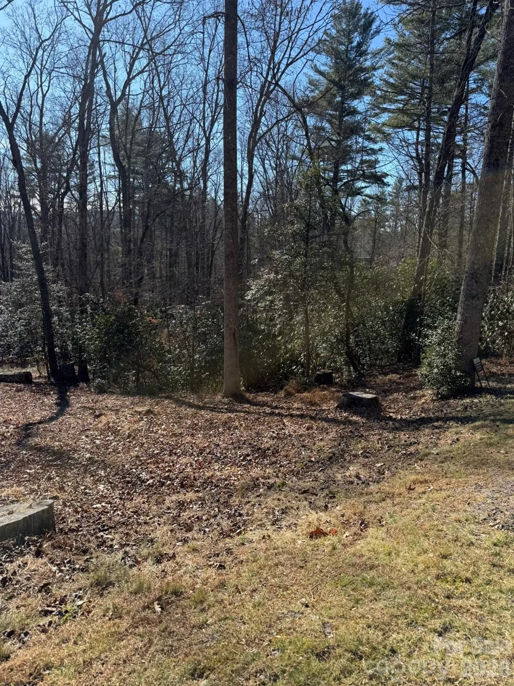 9999 Rockbrook Overlook #13 Brevard, NC 28712