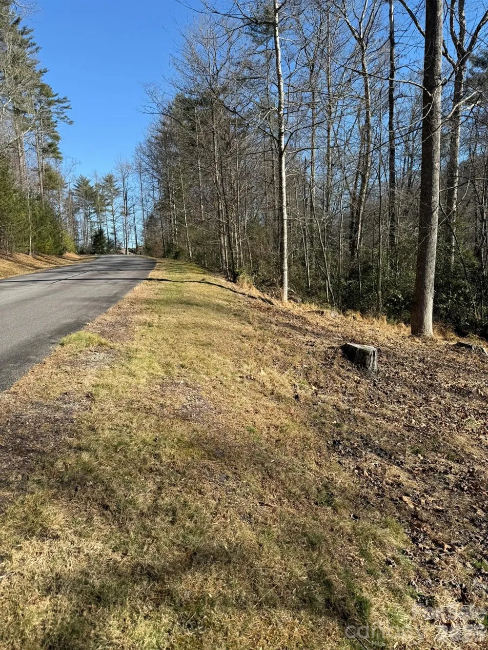 9999 Rockbrook Overlook #13 Brevard, NC 28712