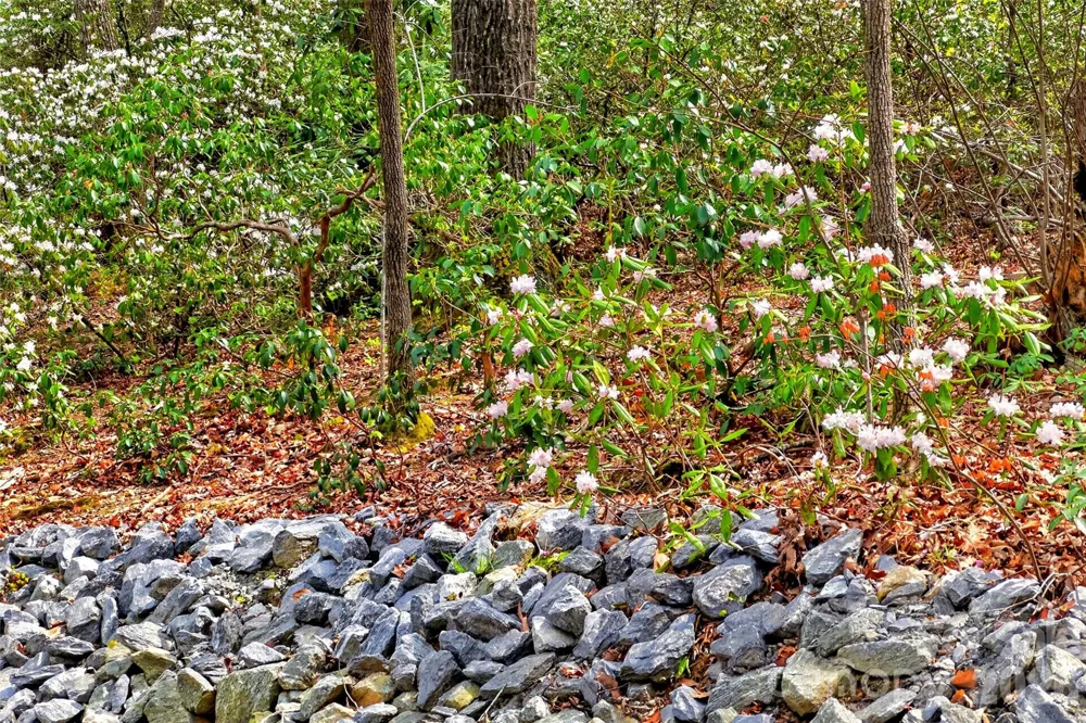 1413 Golf Course Road #24A Old Fort, NC 28762