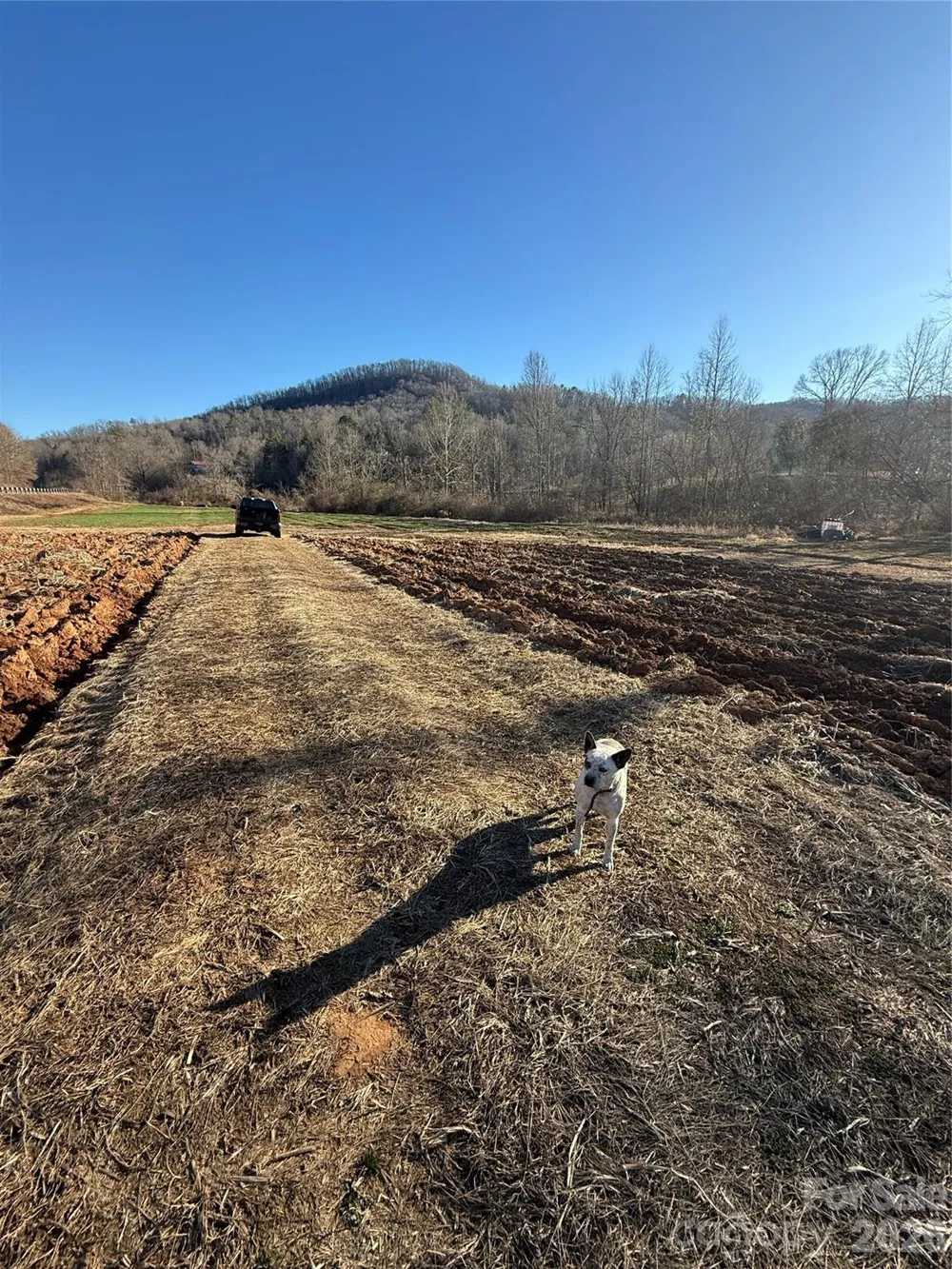 000 Old Fort Sugar Hill Road Marion, NC 28752