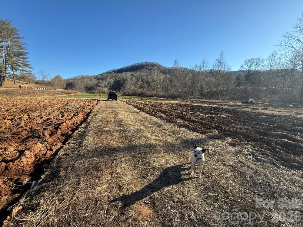 000 Old Fort Sugar Hill Road Marion, NC 28752