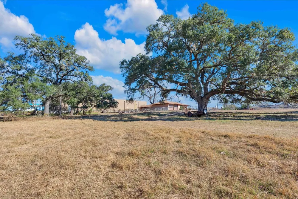 1243 North Jefferson Highway La Grange, TX 78945