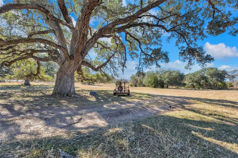 1243 North Jefferson Highway La Grange, TX 78945