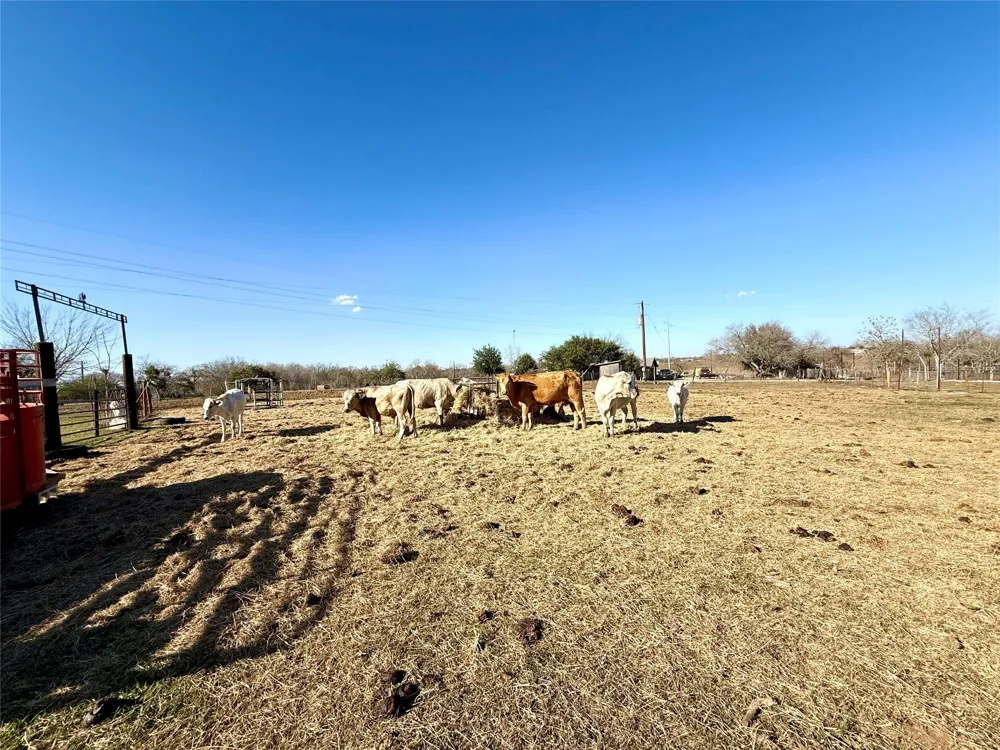 685 Fox Lane Lockhart, TX 78644