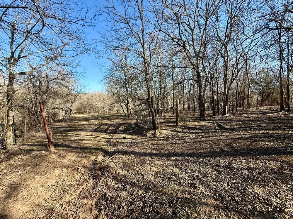 685 Fox Lane Lockhart, TX 78644