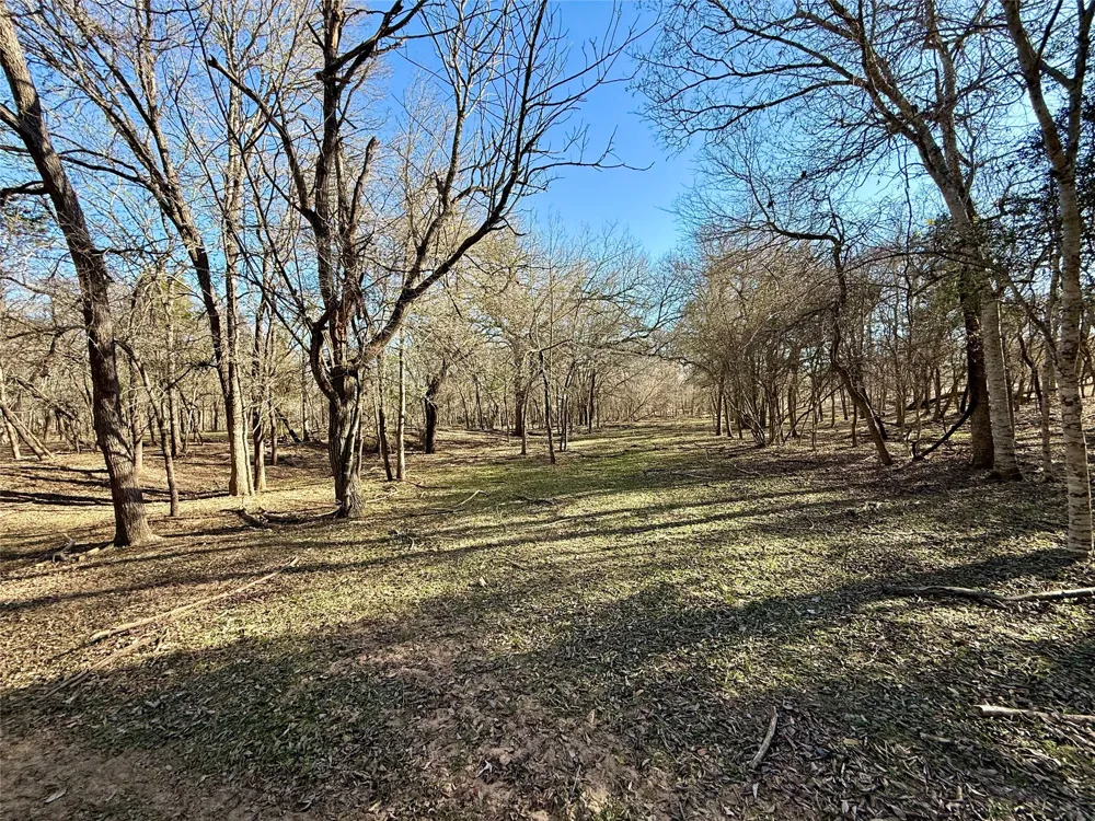 685 Fox Lane Lockhart, TX 78644