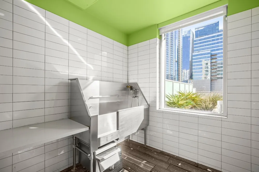 222 West Avenue #2012 Austin, TX 78701