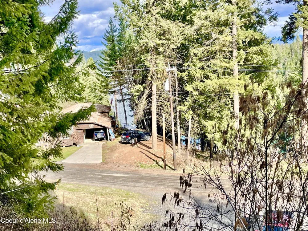 21161 S Cave Bay RD Lake Coeur d' Alene Worley, ID 83876