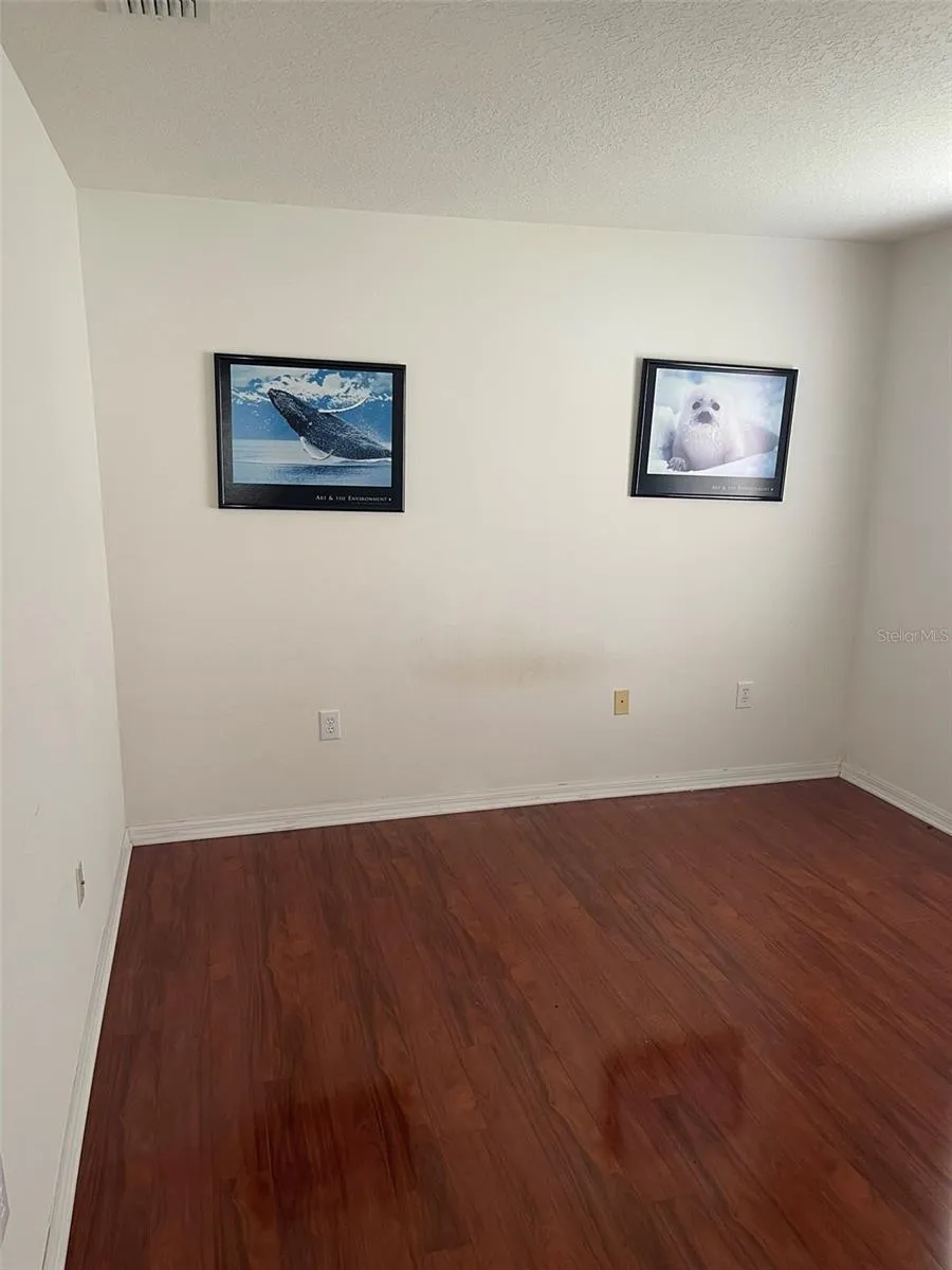 1530 OCEAN REEF ROAD Wesley Chapel, FL 33544