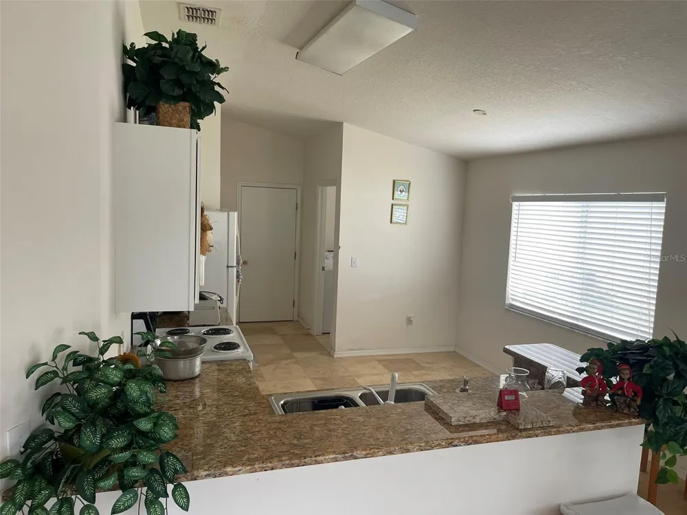 1530 OCEAN REEF ROAD Wesley Chapel, FL 33544