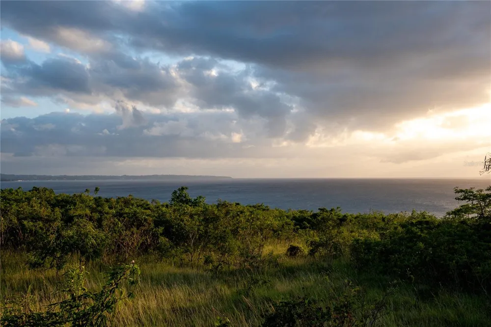 CARR 107 KM 1.1 BO BORINQUEN Aguadilla, PR 00603