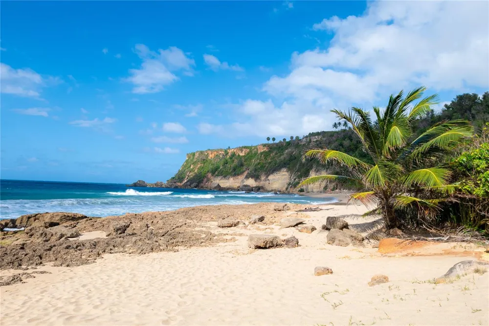 CARR 107 KM 1.1 BO BORINQUEN Aguadilla, PR 00603