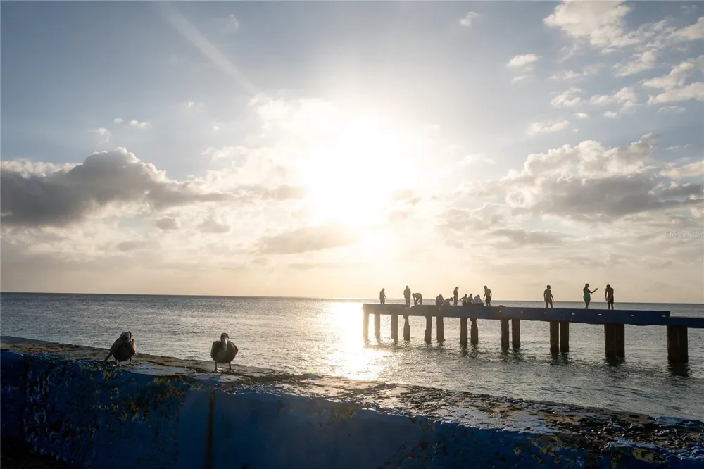 CARR 107 KM 1.1 BO BORINQUEN Aguadilla, PR 00603