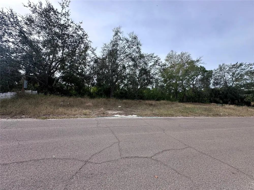 236 LOOKOUT DRIVE Apollo Beach, FL 33572