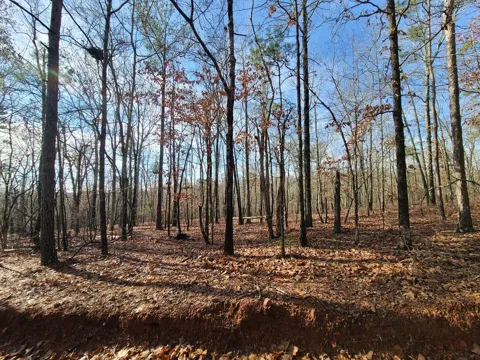 BLK 34 LOT 6 Juniper Way