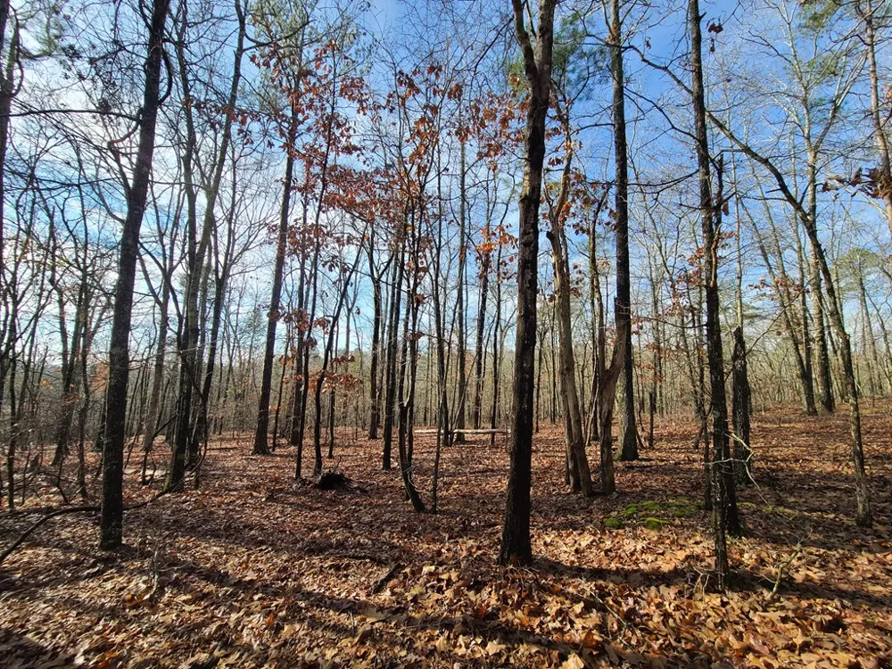 BLK 34 LOT 6 Juniper Way Waverly Hall, GA 31831