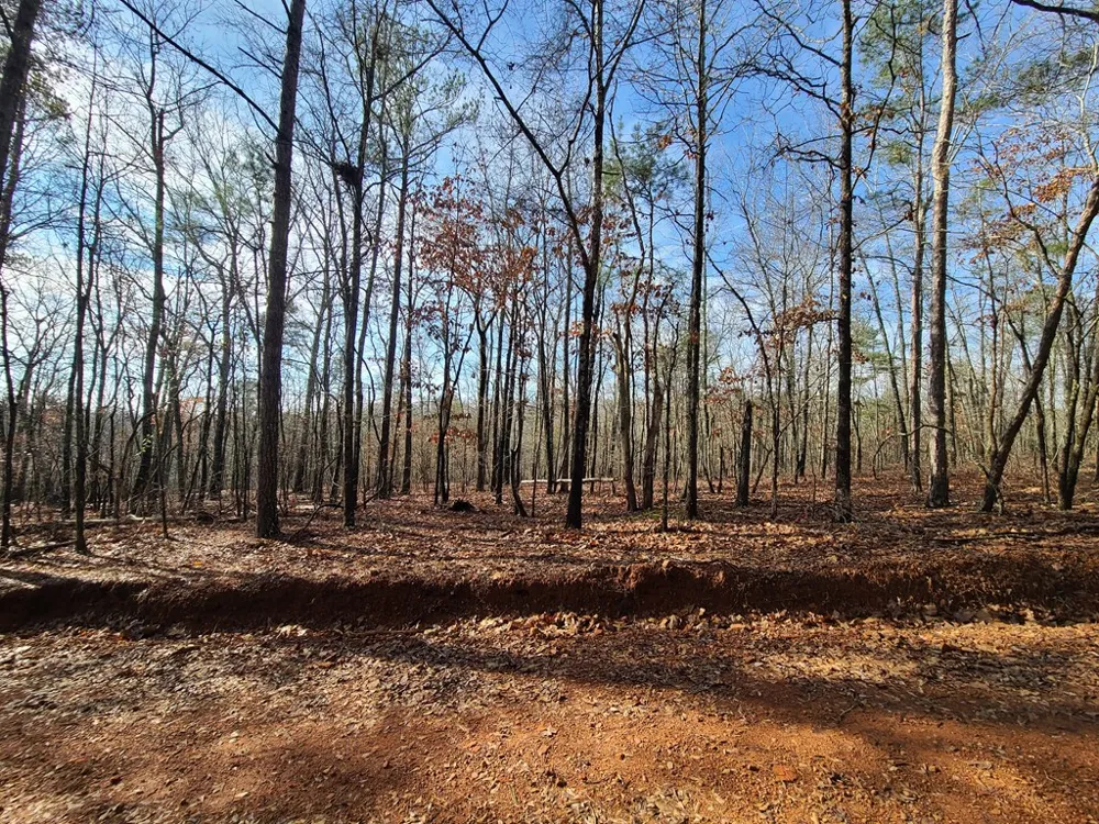 BLK 34 LOT 6 Juniper Way Waverly Hall, GA 31831