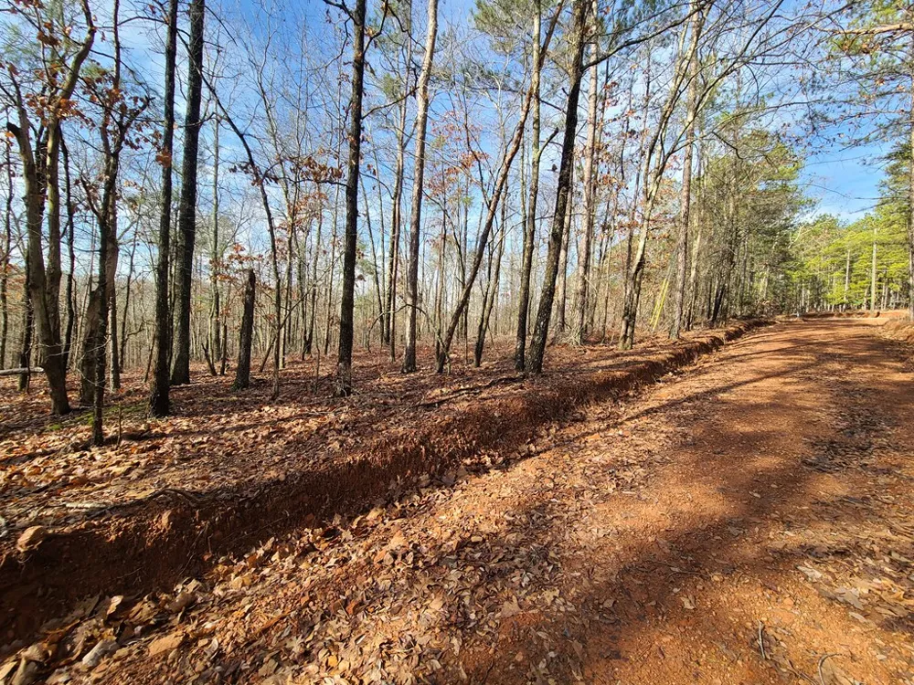 BLK 34 LOT 6 Juniper Way Waverly Hall, GA 31831