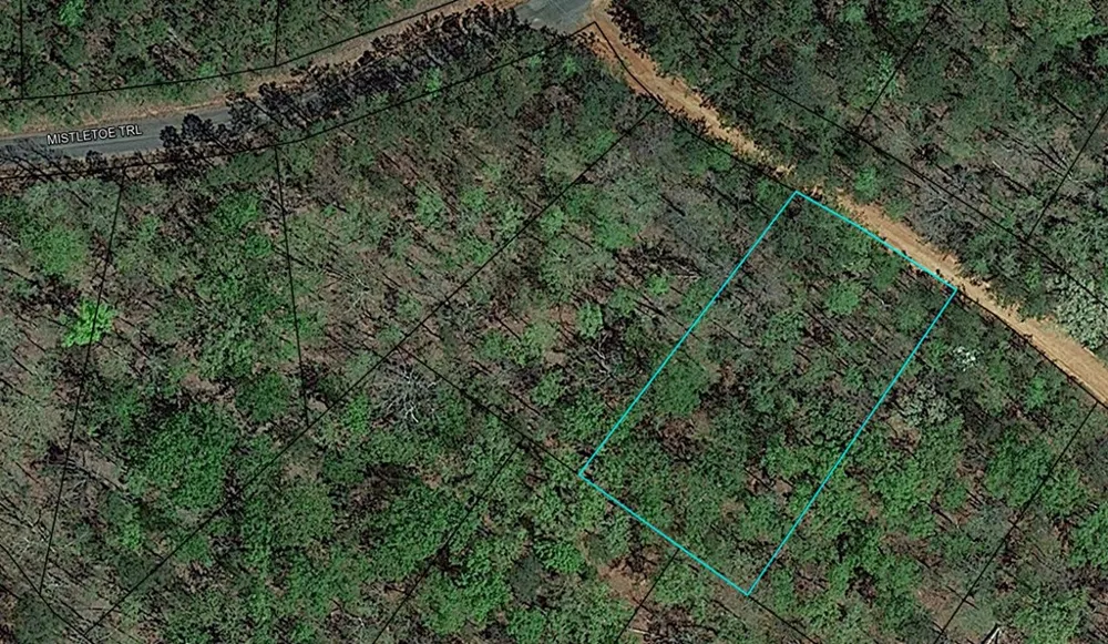 BLK 34 LOT 6 Juniper Way Waverly Hall, GA 31831