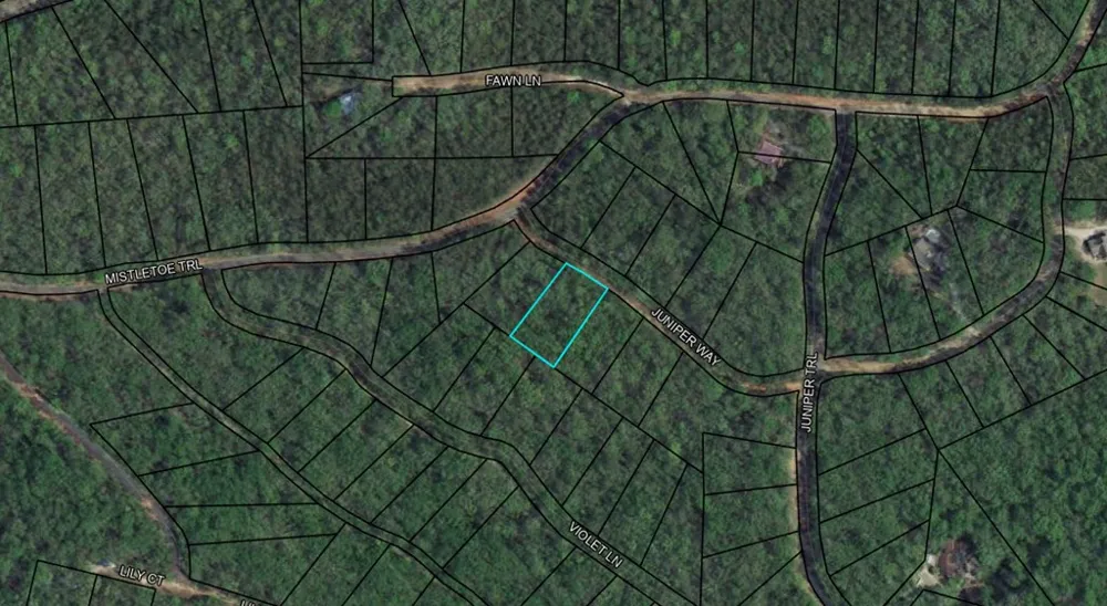 BLK 34 LOT 6 Juniper Way Waverly Hall, GA 31831