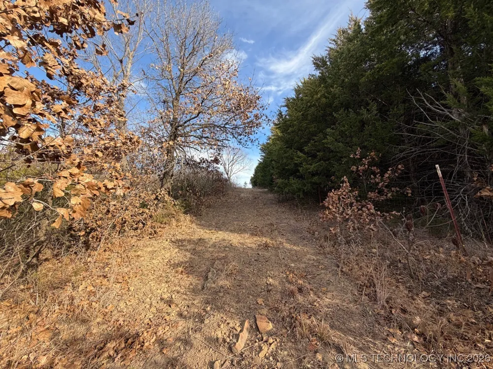 57790 S 36980 ROAD Terlton, OK 74081