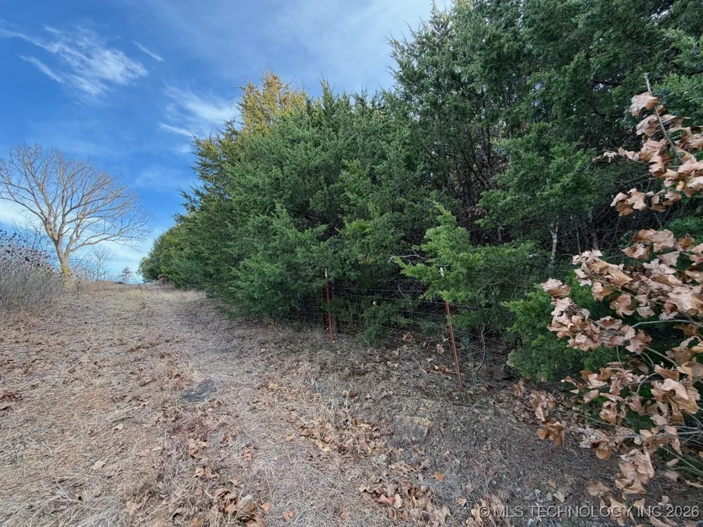 57790 S 36980 ROAD Terlton, OK 74081
