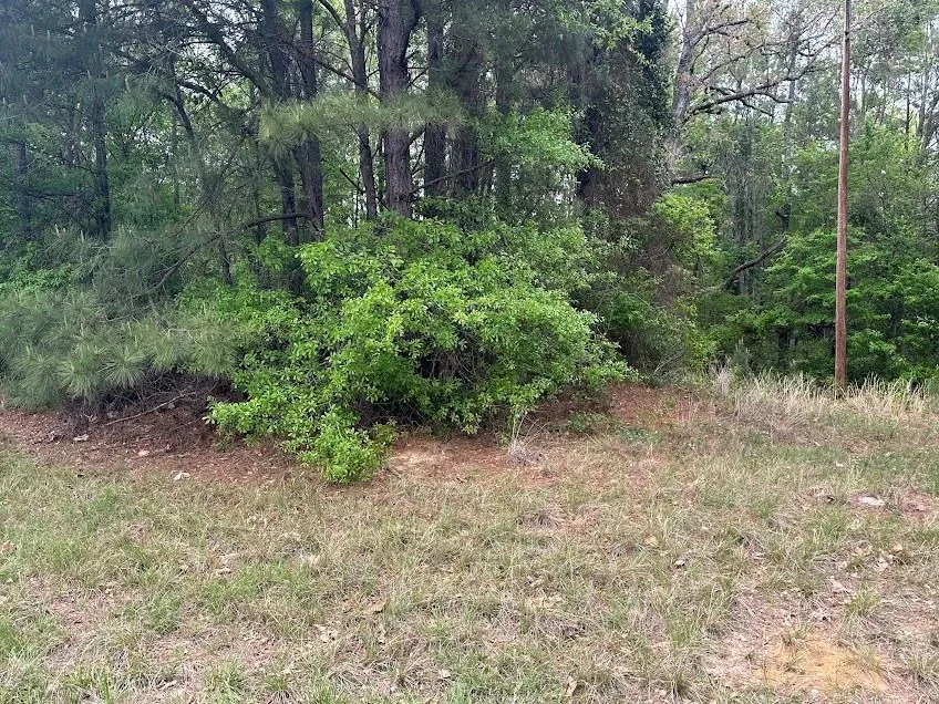 105 Lodge Street Ore City, TX 75683