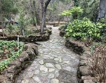 4920 Tippitoe Forest Ranch, CA 95942