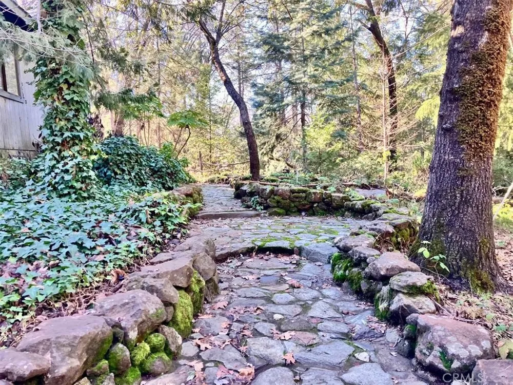 4920 Tippitoe Forest Ranch, CA 95942