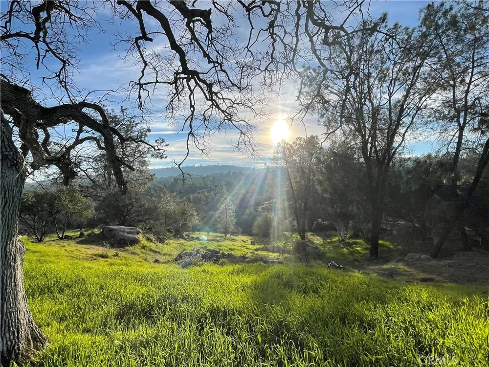 1220 Corral Drive Coarsegold, CA 93614