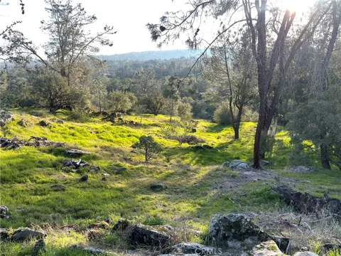 1220 Corral Drive