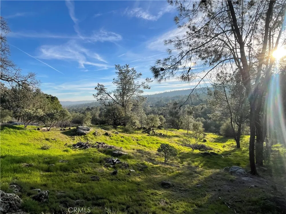 1220 Corral Drive Coarsegold, CA 93614