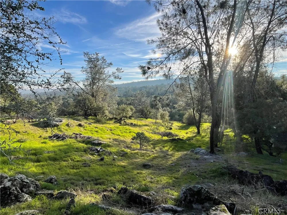 1220 Corral Drive Coarsegold, CA 93614