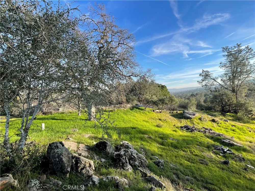 1220 Corral Drive Coarsegold, CA 93614