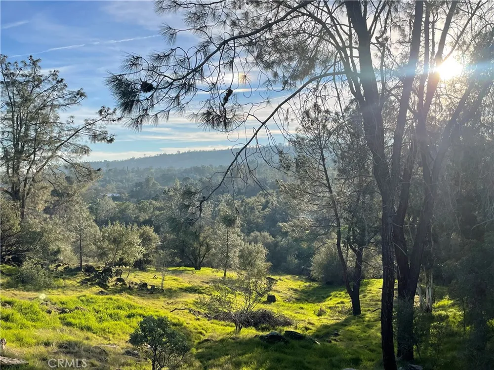 1220 Corral Drive Coarsegold, CA 93614