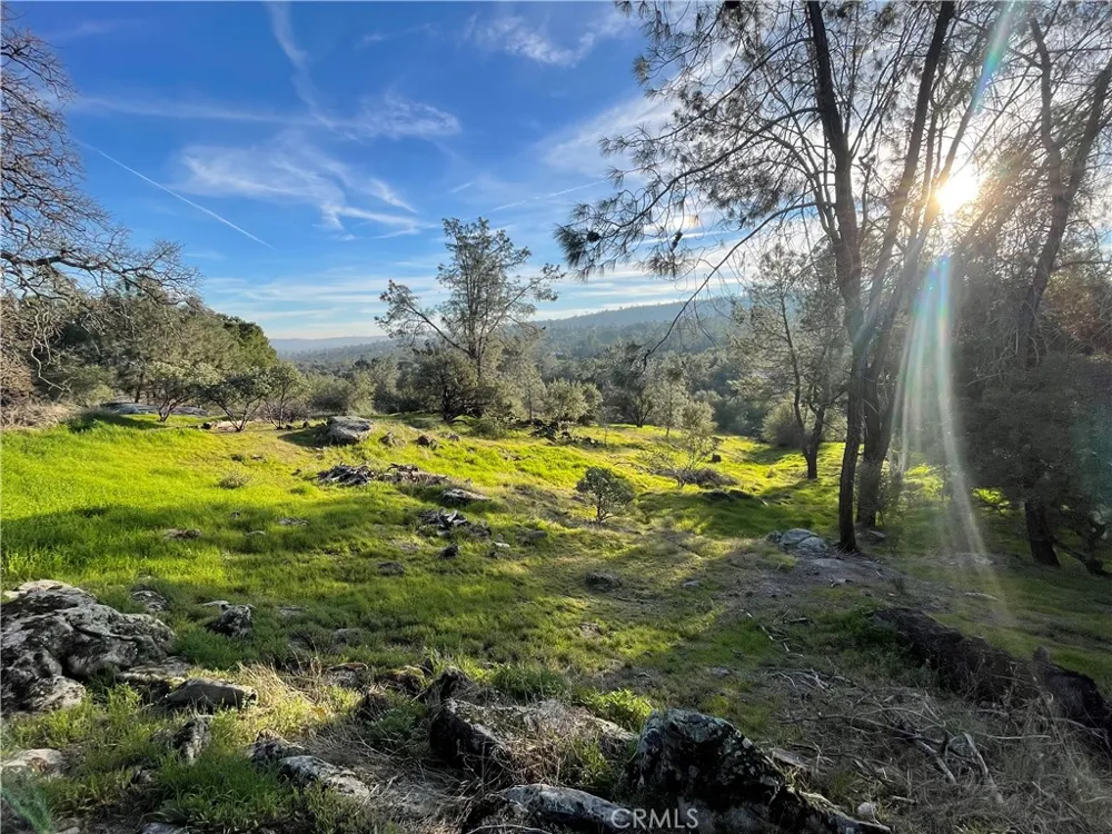 1220 Corral Drive Coarsegold, CA 93614