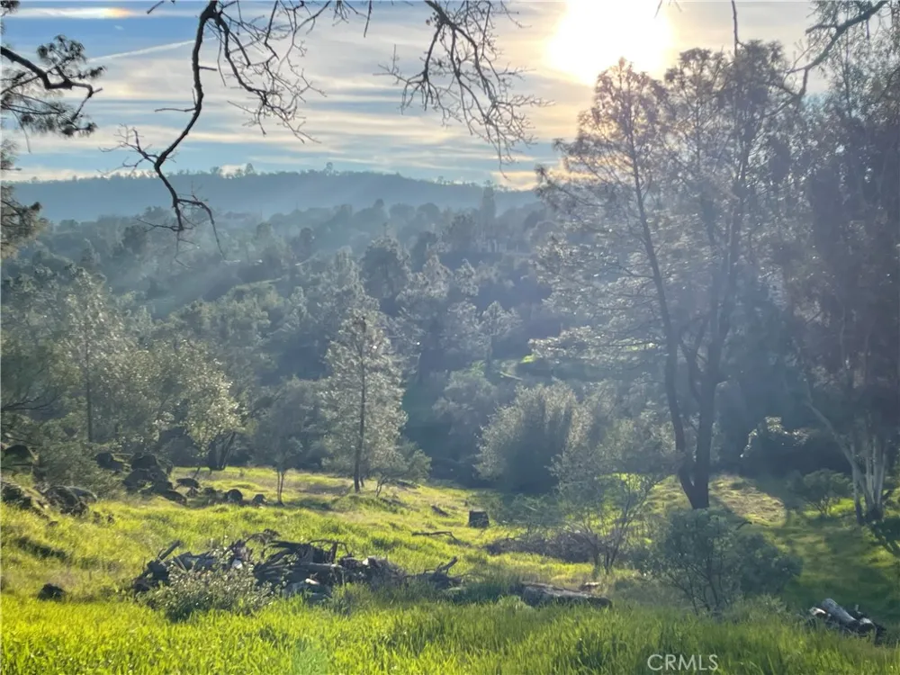 1220 Corral Drive Coarsegold, CA 93614