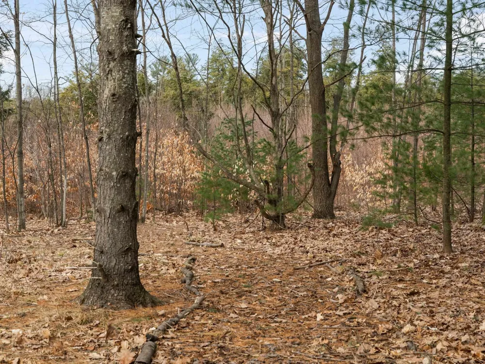 Manhattan North Long Lake Township, MI 49685